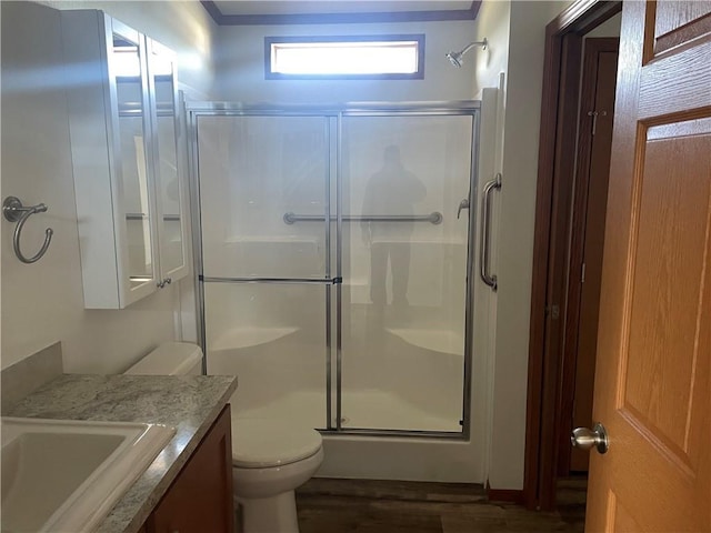 163 230th St, Osceola, WI 54020 - bathroom with a stall shower, vanity, wood finished floors, and toilet