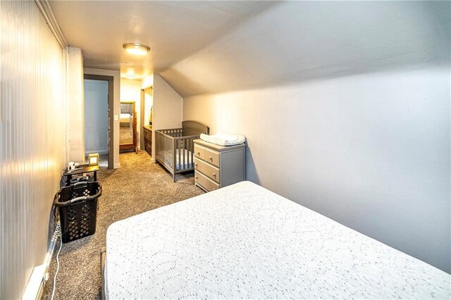 W9952 State Highway 54, Black River Falls, WI 54615 - carpeted bedroom with vaulted ceiling