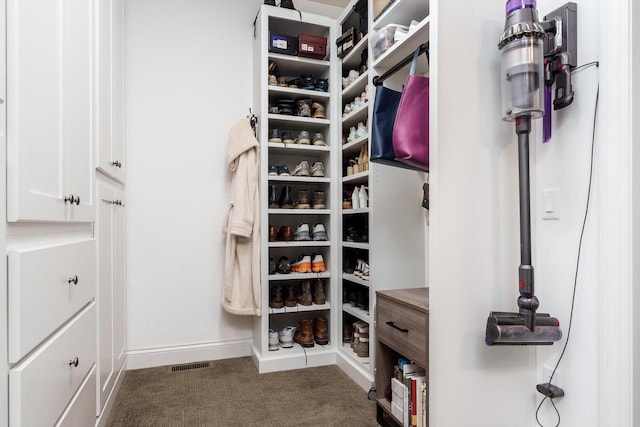 1102 Eldon Way, Edgerton, WI 53534 - walk in closet featuring carpet flooring