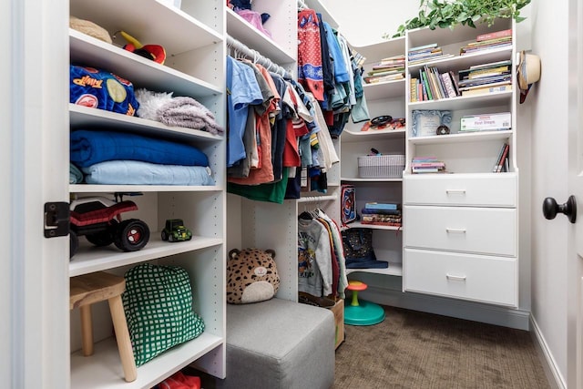 1102 Eldon Way, Edgerton, WI 53534 - spacious closet featuring carpet floors