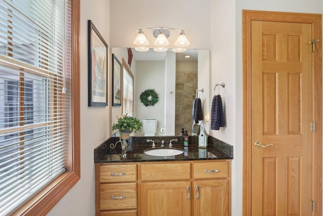 3944 Caribou Rd, Verona, WI 53593 - bathroom featuring vanity, plenty of natural light, and tiled shower