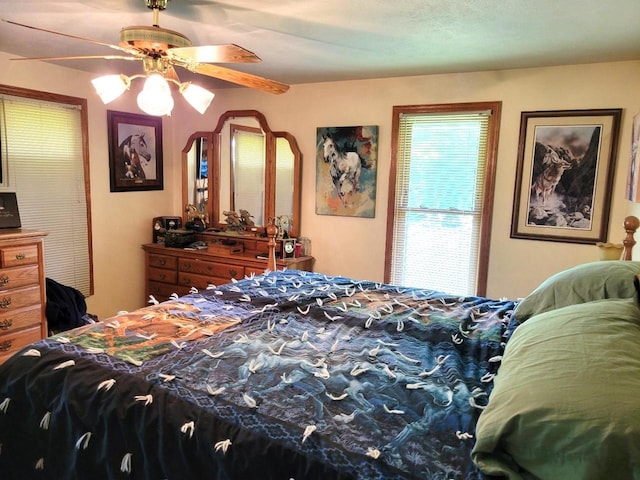 3213 W County M Rd, Edgerton, WI 53534 - bedroom with a ceiling fan