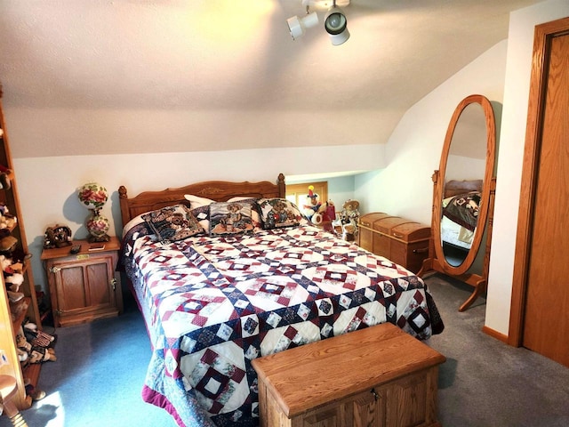 3213 W County M Rd, Edgerton, WI 53534 - bedroom with carpet flooring and vaulted ceiling