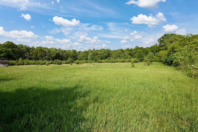 7129 S County Road Jj, Bancroft, WI 54921 - view of tree filled area featuring a rural view