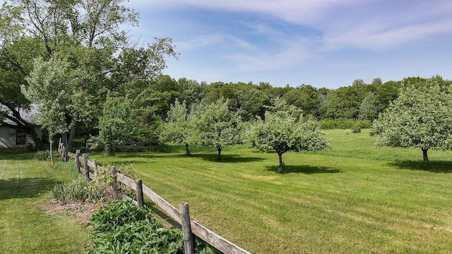 7129 S County Road Jj, Bancroft, WI 54921 - view of yard