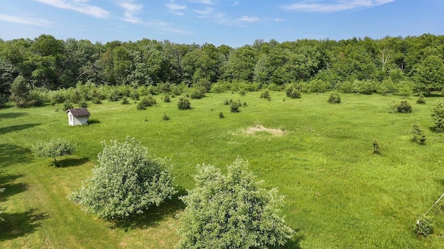 7129 S County Road Jj, Bancroft, WI 54921 - aerial view