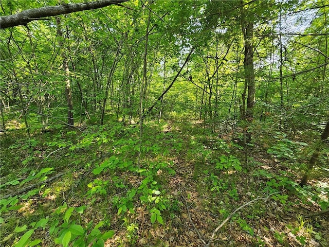 LOT17 1.62/-ACRES 295th Ave, Holcombe, WI 54745
