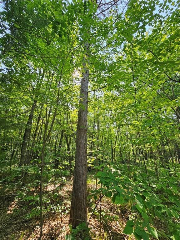 LOT17 1.62/-ACRES 295th Ave, Holcombe, WI 54745