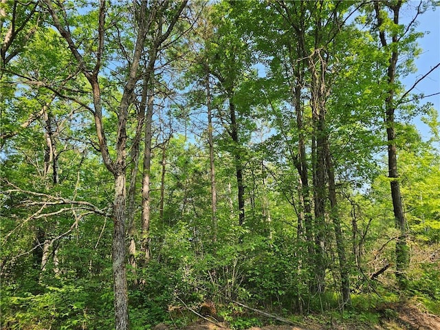 LOT17 1.62/-ACRES 295th Ave, Holcombe, WI 54745