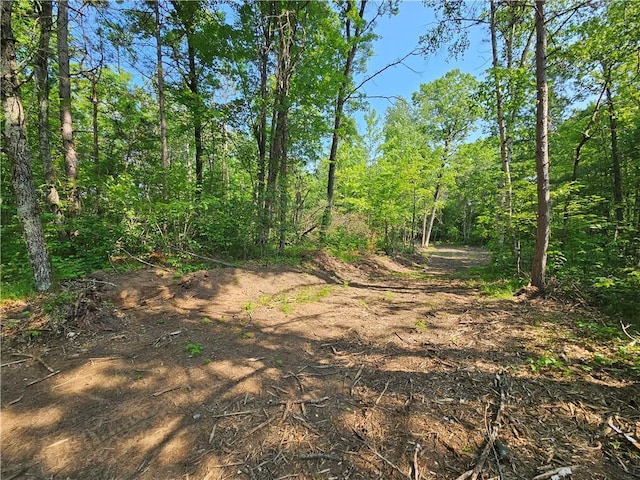 LOT17 1.62/-ACRES 295th Ave, Holcombe, WI 54745