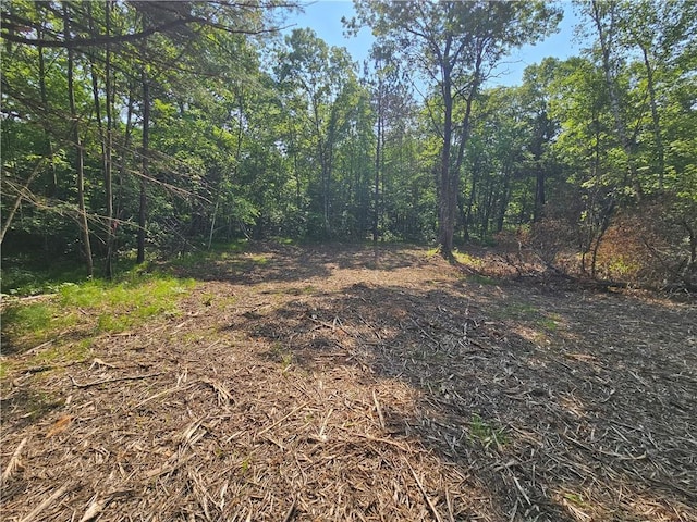 LOT17 1.62/-ACRES 295th Ave, Holcombe, WI 54745