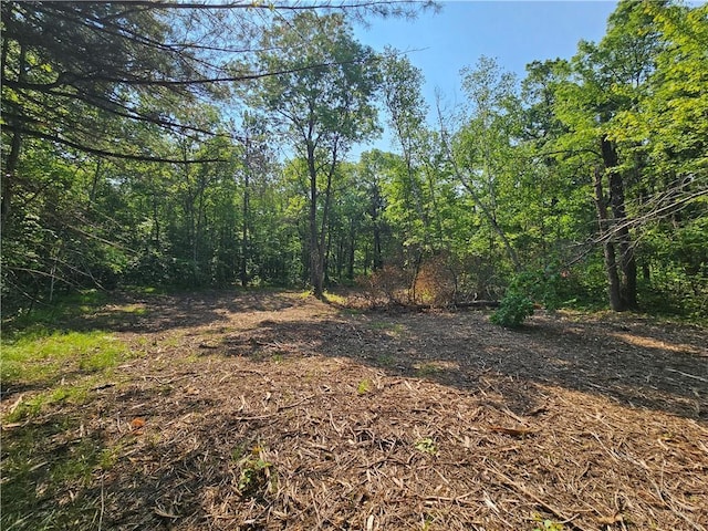 LOT17 1.62/-ACRES 295th Ave, Holcombe, WI 54745