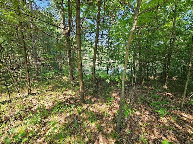 LOT17 1.62/-ACRES 295th Ave, Holcombe, WI 54745