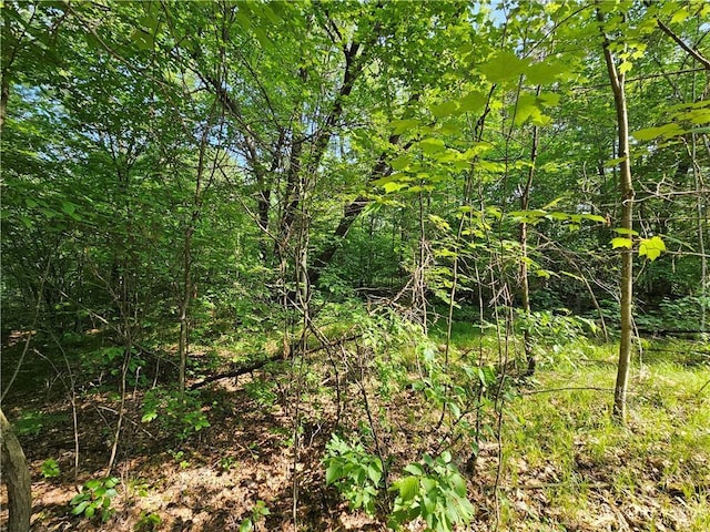 LOT17 1.62/-ACRES 295th Ave, Holcombe, WI 54745