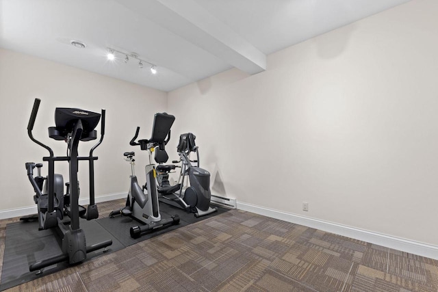 4205 Quarry Springs Dr, Racine, WI 53405 - exercise room featuring carpet, baseboards, a baseboard radiator, and rail lighting