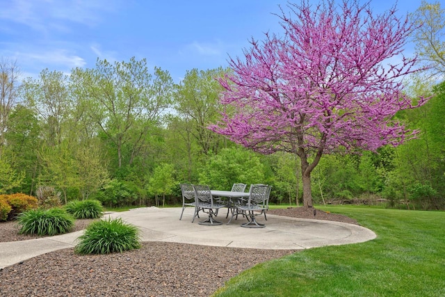 4205 Quarry Springs Dr, Racine, WI 53405 - view of grassy yard featuring a patio area