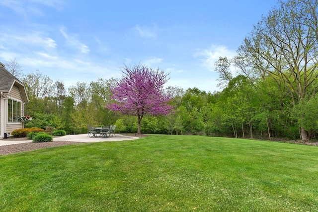 4205 Quarry Springs Dr, Racine, WI 53405 - view of green lawn with a patio