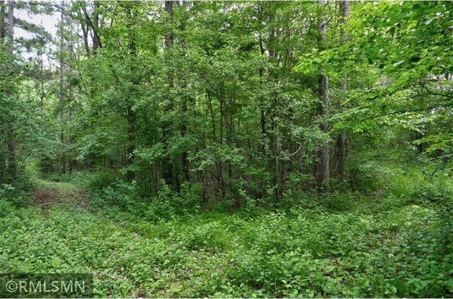 65X 115th St, Amery, WI 54001