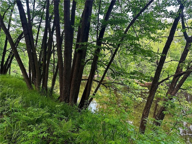 20454 70th Ave, Chippewa Falls, WI 54729 - view of tree filled area