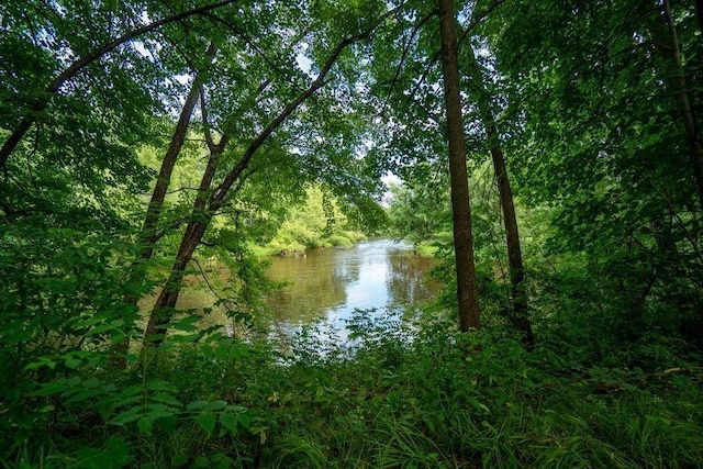 20454 70th Ave, Chippewa Falls, WI 54729 - water view with a forest