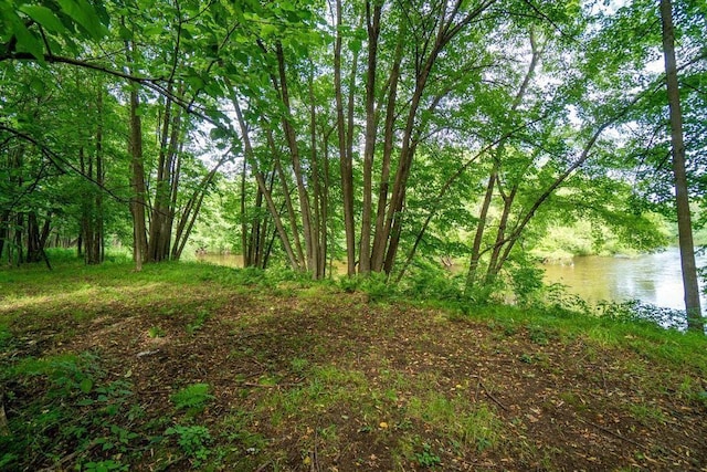20454 70th Ave, Chippewa Falls, WI 54729 - view of nature