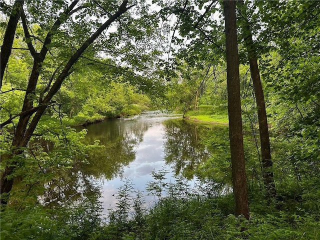 20454 70th Ave, Chippewa Falls, WI 54729 - water view with a forest
