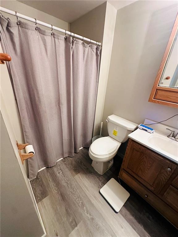 W14440 Culver Ave, Weyerhaeuser, WI 54895 - bathroom with wood finished floors, toilet, vanity, and curtained shower