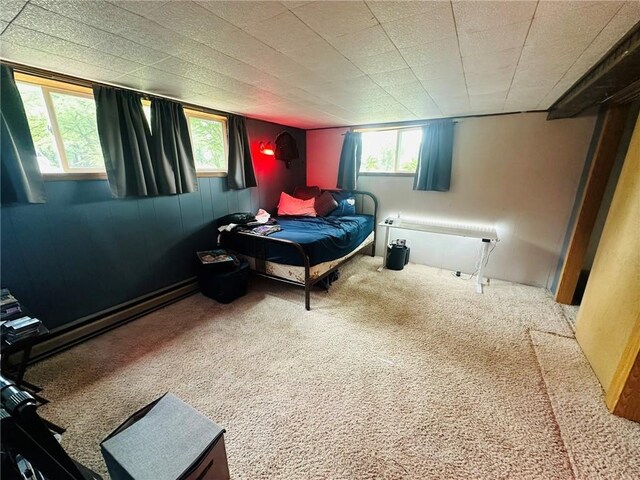 W14440 Culver Ave, Weyerhaeuser, WI 54895 - carpeted bedroom featuring multiple windows