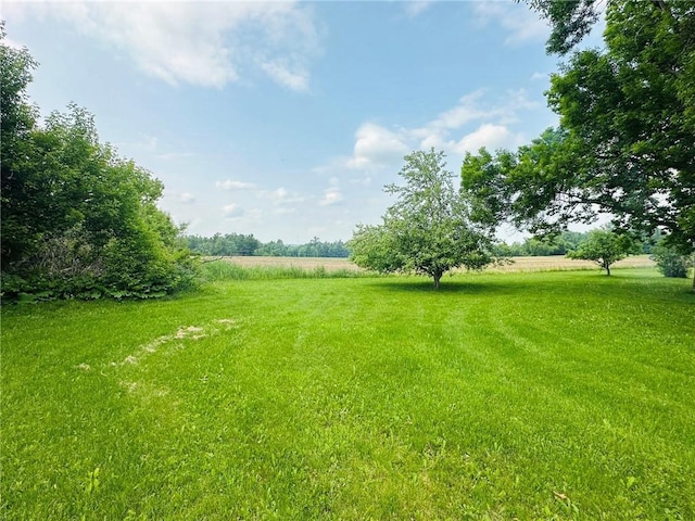 W14440 Culver Ave, Weyerhaeuser, WI 54895 - view of green lawn featuring a rural view