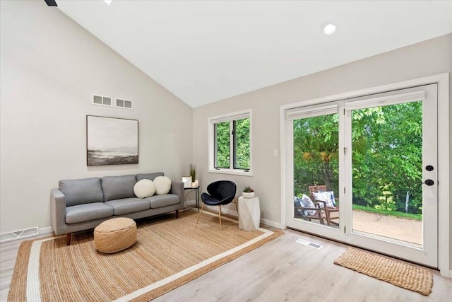 1109 Mckenna Blvd Unit G, Madison, WI 53719 - living room with wood finished floors and high vaulted ceiling