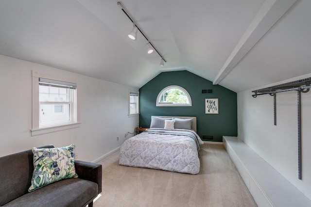 5230 Harbor Ct, Madison, WI 53705 - bedroom with rail lighting, carpet, and lofted ceiling