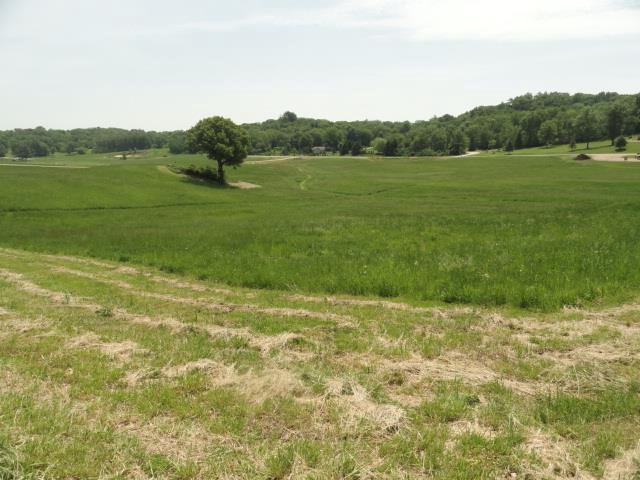 LOT5 County Road Y, Viroqua, WI 54665