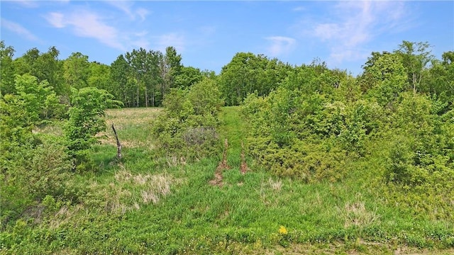 1029.1 290th Ave, Frederic, WI 54837