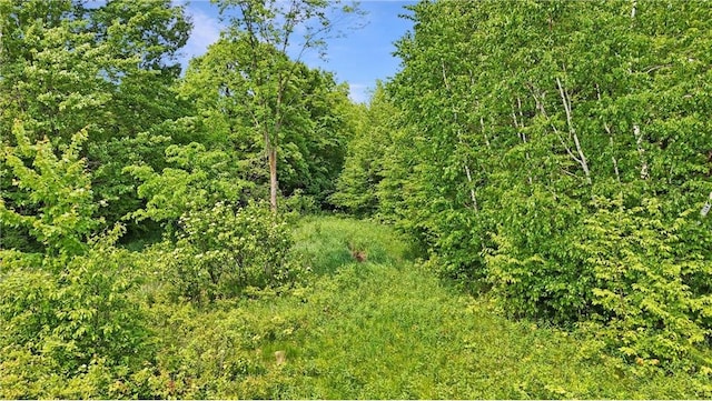 1029.1 290th Ave, Frederic, WI 54837