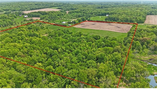 1029.1 290th Ave, Frederic, WI 54837