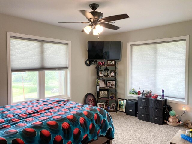 110 Grand St, Highland, WI 53543 - carpeted bedroom featuring multiple windows and a ceiling fan