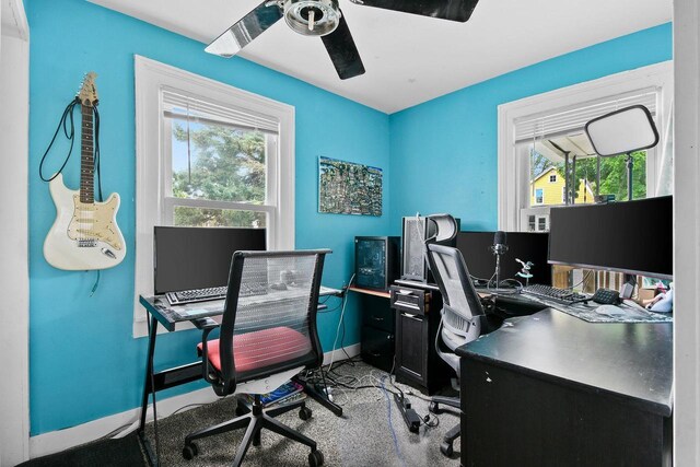 324 N Lincoln Ave, Beaver Dam, WI 53916 - office area featuring plenty of natural light, a ceiling fan, and carpet flooring