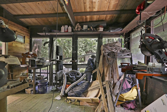 2518 Borg Rd, Delavan, WI 53115 - exercise room with wooden ceiling and wood walls