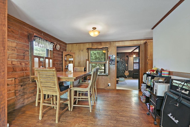 2518 Borg Rd, Delavan, WI 53115 - dining space featuring wooden walls, plenty of natural light, and wood finished floors