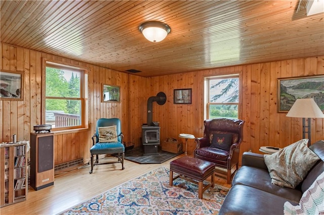 N8355 330th St, Spring Valley, WI 54767 - living area with a wood stove, wood ceiling, wood finished floors, and wood walls