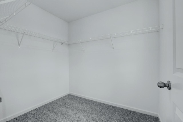 1120 58th Rd, Union Grove, WI 53182 - walk in closet with carpet floors