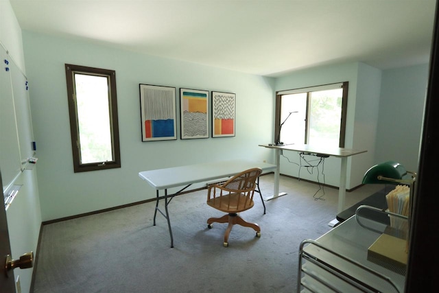 525 Walnut Grove Dr, Madison, WI 53717 - carpeted home office featuring baseboards