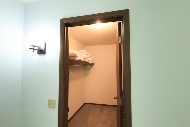525 Walnut Grove Dr, Madison, WI 53717 - walk in closet with carpet floors