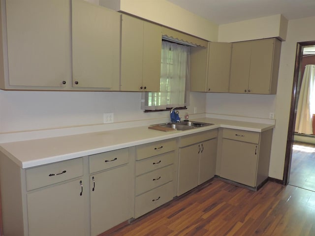 422 E Catherine St, Muscoda, WI 53573 - kitchen with gray cabinetry, a sink, dark wood-style flooring, and light countertops
