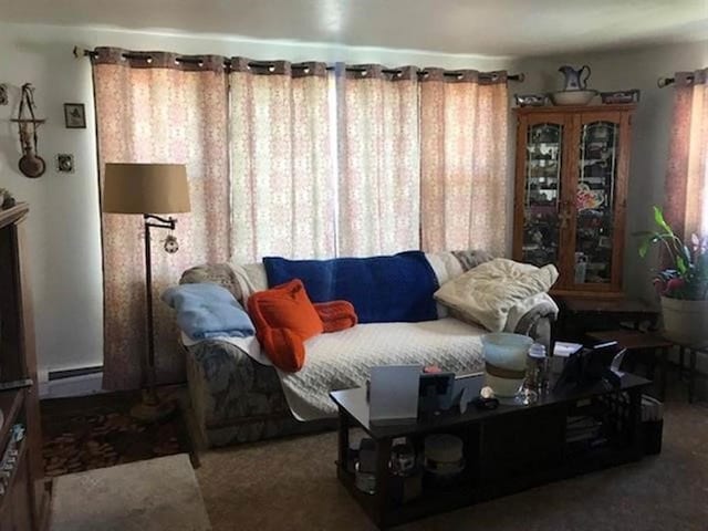 205 N Thomas St, Merrill, WI 54452 - living room featuring a baseboard heating unit and carpet