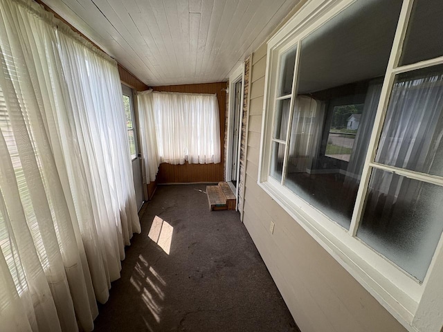 230 Park Ave, Wisconsin Rapids, WI 54495 - unfurnished sunroom with carpet and wood walls