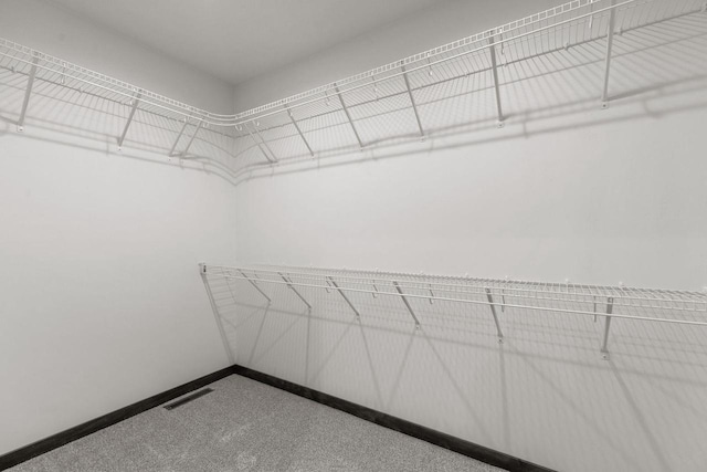 1338 Highland Ridge Dr, De Pere, WI 54115 - spacious closet with carpet flooring