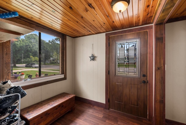 1439 Parkview Dr, Kewaskum, WI 53040 - foyer with wooden ceiling, dark wood-type flooring, wood walls, and baseboards