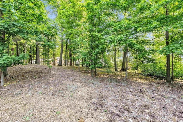 1830 Pine Tree Ct, Luxemburg, WI 54217 - view of undeveloped land