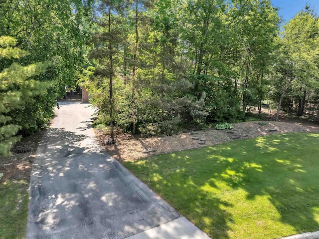 1830 Pine Tree Ct, Luxemburg, WI 54217 - view of street